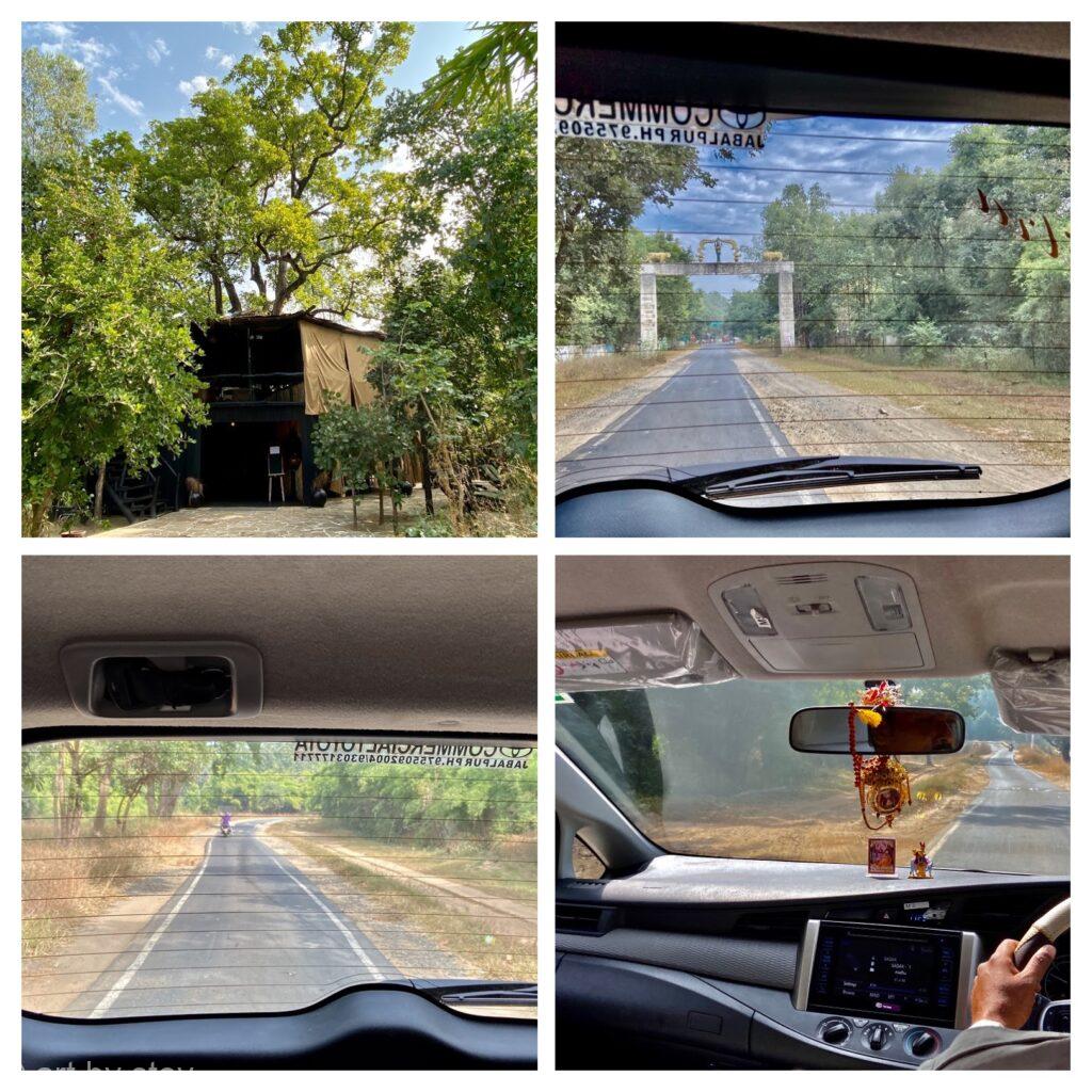 collage leaving Bandhavgarh