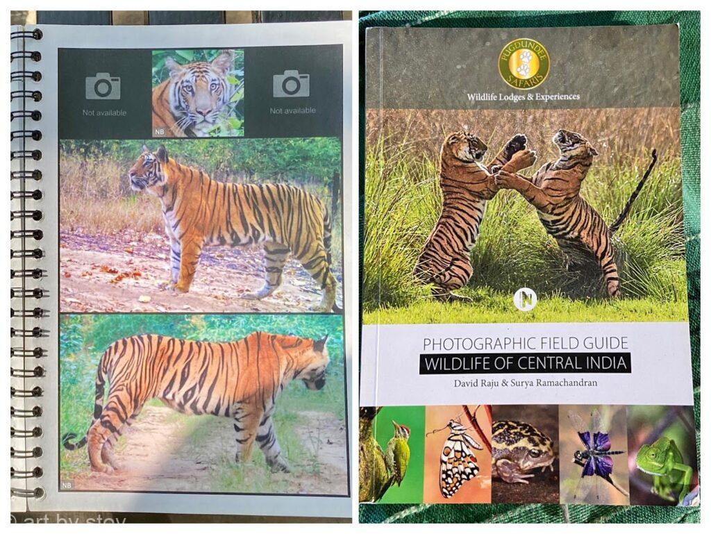 collage Tiger and Wildlife guides at Treehouse hideaway